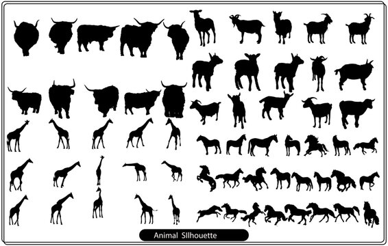 Set of black isolated silhouettes of cows. Collection of different animals position.