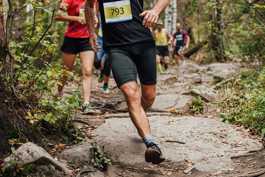 group runners athletes run forest trail marathon