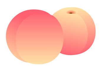 Illustration of two ripe peaches