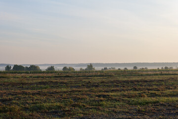 morning fog field