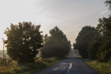 Road in rural landscape with fields both sides. Early morning with mist and fog. Glow from rising sun.