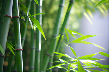 Close up bamboo leaves. Generative AI.
