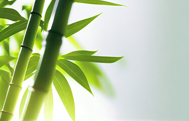 Fototapeta na wymiar Close up bamboo leaves. Generative AI.