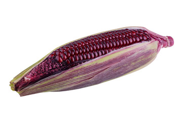 fresh purple corn isolated on alpha background
