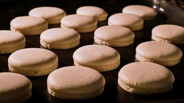 Baking macaroons in electric oven. Timelapse of growing macarons. Delicious dessert. Process of cooking macaroons. Close-up in 4K, UHD