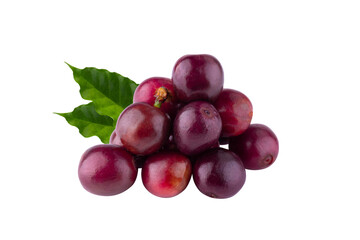 Red coffee beans isolated on alpha background