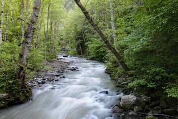 river in nature in Georgia 