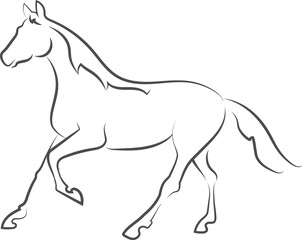 The horse is a slender, graceful animal, with highly developed muscles and a strong constitution. Black outline, symbols, logo