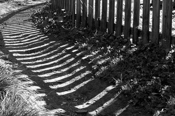 City park, wooden fence and shadows on the ground, black and white photo.