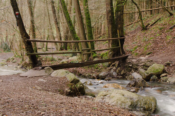 Beautiful view of the stream Ninglinspo
