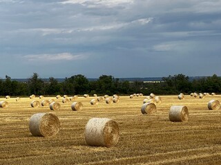 field with haystacks