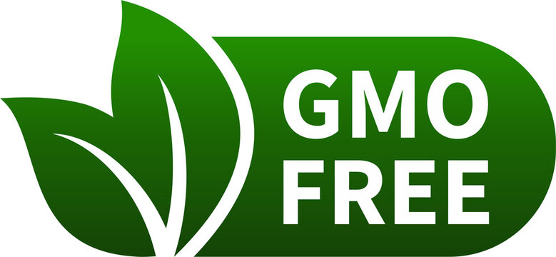 GMO free icon. Vector green leaf non GMO logo sign for healthy food package design.