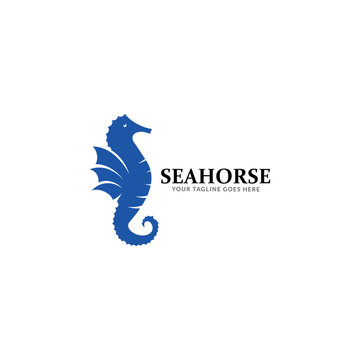 Stylized graphic Seahorse. Silhouette illustration of sea life. Sketch for tattoo on isolated white background. Vector flat logo icon.