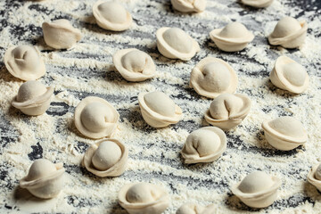 Homemade ravioli. dumplings. Pelmeni. Food recipe background. Close up