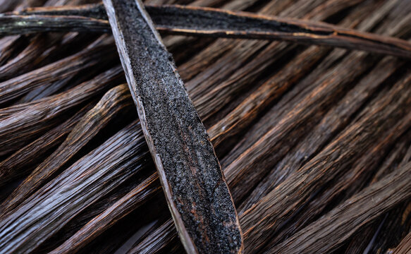vanilla beans seed pods.