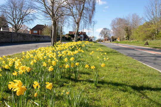 Springtime scenery around Crickhowell.