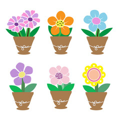 lovely bright flowers in pots
