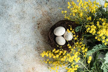 Easter card with bright yellow mimosa flowers