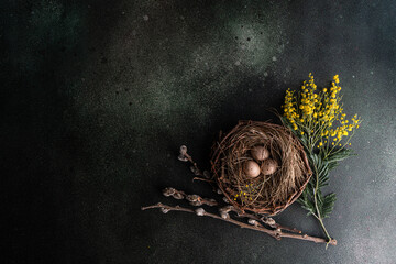 Easter card with bright yellow mimosa flowers