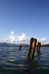 Wooden posts in sea - 566639479
