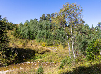 the beginning of autumn in the highlands, alpine meadows with dried vegetation, nature walks, and...