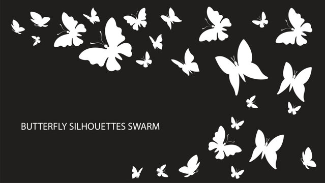 butterfly silhouettes swarm black and white background