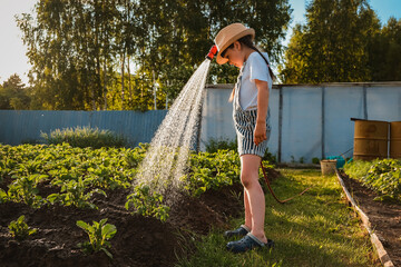 Child watering plants in garden. Kid with water hose in sunny backyard. Little girl gardening. Summer outdoor activities during the summer holidays in the village.