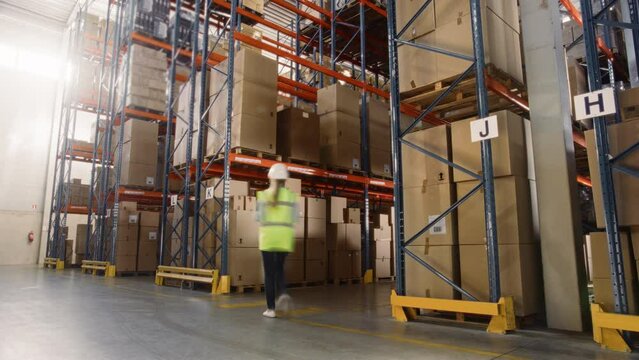 Time-Lapse: Retail Delivery Warehouse full of Shelves with Goods in Cardboard Boxes, Workers Sort Packages, Move Inventory with Pallet Trucks and Forklifts. Product Distribution Logistics Center