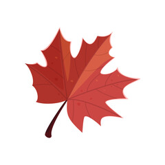 Red leaf sticker. Vector illustration of cute fall item. Cartoon leaf isolated on white background. Autumn decor concept