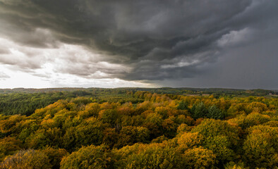 Dark storm clouds over the autumn forest - 566643451