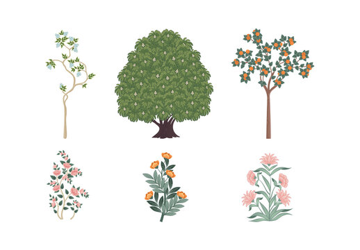 Tropical Trees Indian Botanical Design Elements
