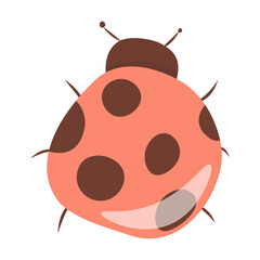 Vector illustration of a ladybug. Flat style, on a white background. 
