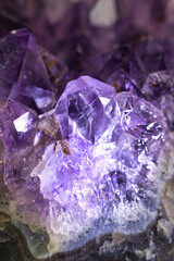 紫色に光り輝く美しいアメジストの原石