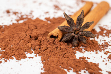Anise star, cinnamon sticks  and cocoa powder , soft focus close up on white