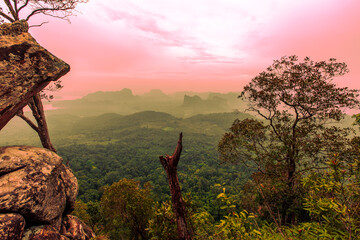 panoramic background of high mountain scenery, overlooking the atmosphere of the sea, trees and wind blowing in a cool blur, spontaneous beauty