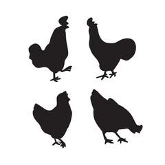 Chicken silhouette isolated on white background. Vector illustration