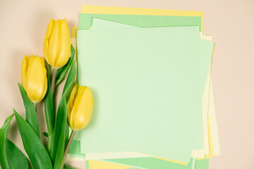 Spring mockup - yellow tulips and a place for text. Hello March, April, May, happy women's day
