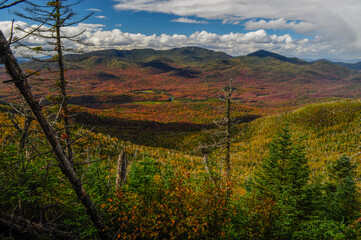 Cold River Country, High Peaks Wilderness Area, Adirondack Forest Preserve, New York