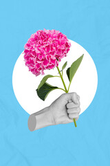 Creative clipping path collage of human hand hold pink hortensia bunch plant give share valentine woman mother day gift concept