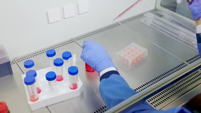 In a laboratory, a scientist with a pipette transfers liquids in a fume cupboard