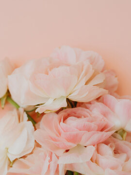 Bouquet pale pink ranunculus flowers light background. © senteliaolga