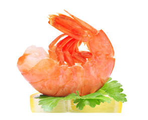 Shrimp on a white background isolated 