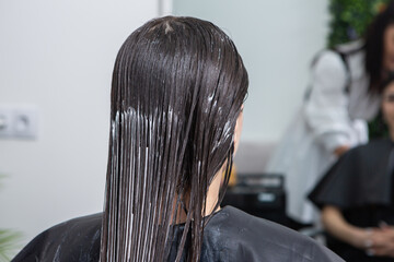 Hairdresser applies a hair mask to straight black hair. Hair care at the beauty salon.