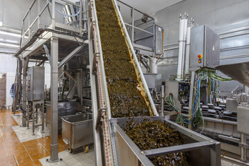 Special equipment at big seaweed factory.