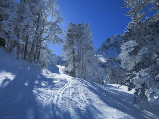 Fototapeta na wymiar Paysage de montagne enneigé dans les Pyrénées en plein hiver