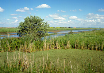 Marais breton vendéen, Pays de la Loire, 85, Vendée, France