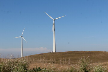 wind turbines farm