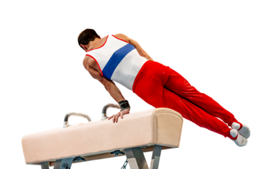gymnast athlete exercise pommel horse