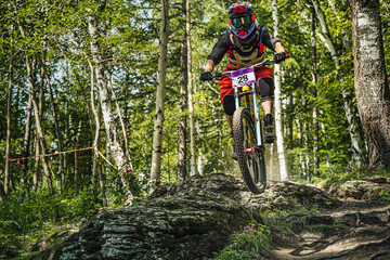 cyclist on mountain bike ride downhill in forest