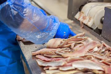 Workshop of fish processing factory.